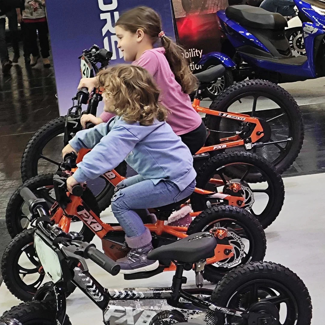 KTX-001363 12" Kids Electric Balance Bike 250W 36V with Disc Brake and Aluminum Frame