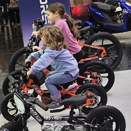 KTX-001363 12" Kids Electric Balance Bike 250W 36V with Disc Brake and Aluminum Frame