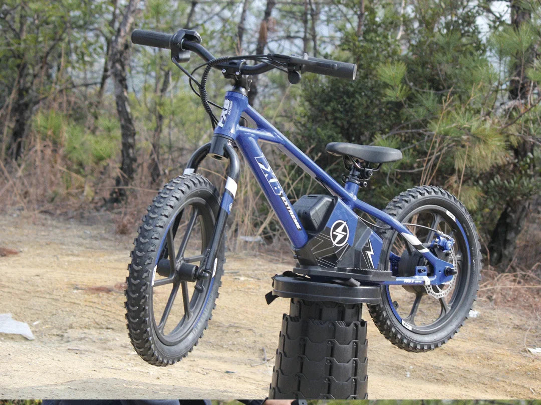 KTX-002515 Kids Electric Balance Bike with 350W Brushless Motor, 12-Inch & 16-Inch Options, Adjustable Suspension, and Disc Brakes