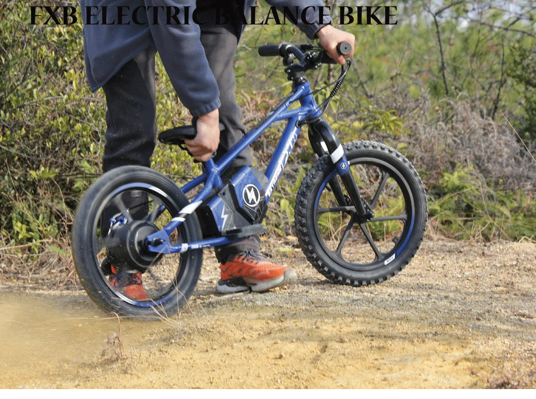 KTX-002515 Kids Electric Balance Bike with 350W Brushless Motor, 12-Inch & 16-Inch Options, Adjustable Suspension, and Disc Brakes