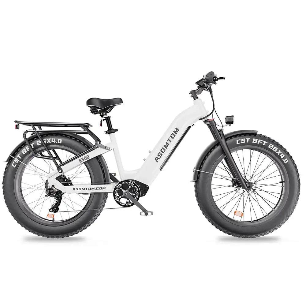 KTX-010323 48V 500W Electric City Bike for Adults with Central Motor and Disc Brake System