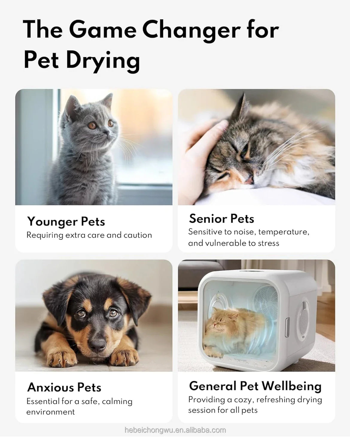 KTX-011411 Pet Hair Dryer Box for Cats and Dogs - 2000W Low Noise ABS Material, Efficient Indoor Drying