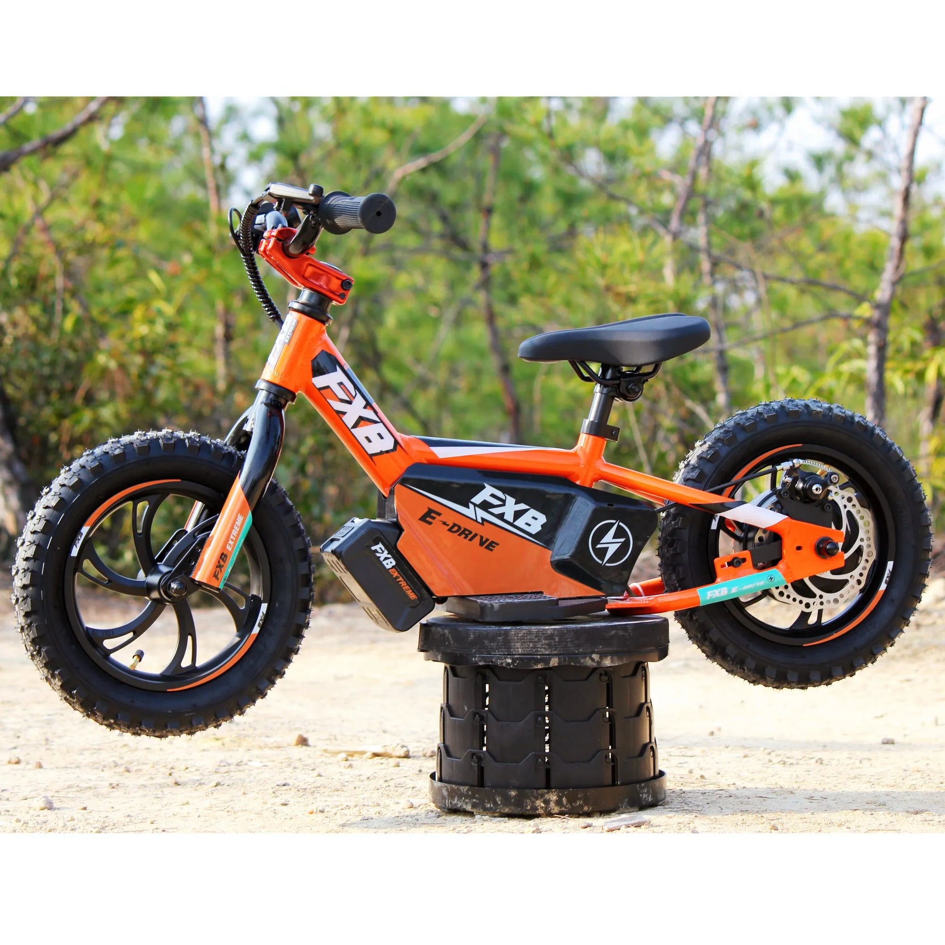 KTX-017171 Mini Electric Motorcycle for Kids - 12-20 Inch Balance Bike with Aluminum Frame, 2 Speed, and Rear Disc Brake