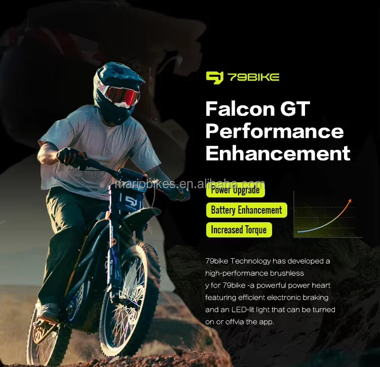 KTX-017299 79bike Falcon GT Electric Dirt Bike with 16.8KW Motor and 610N.M Torque for All-Terrain Adventure