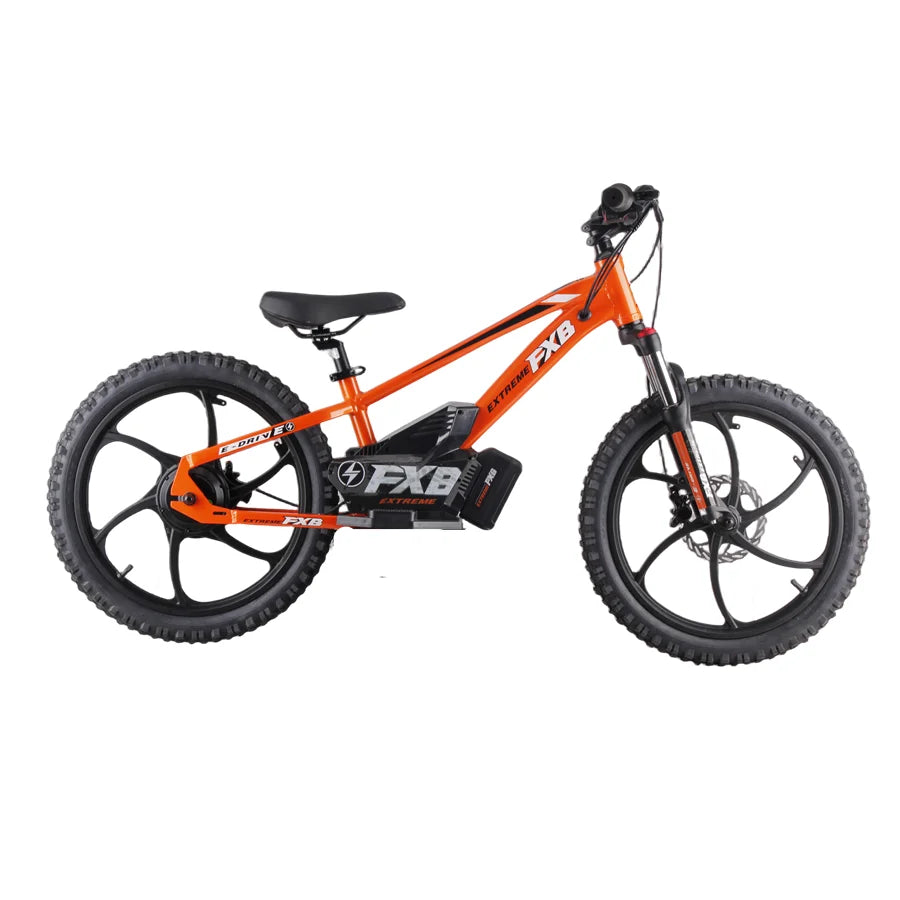 KTX-018323 20-Inch Electric Balance Bike with 36V 5AH Lithium Battery and Hydraulic Suspension for Children