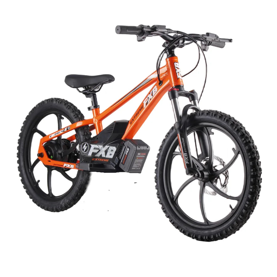KTX-018323 20-Inch Electric Balance Bike with 36V 5AH Lithium Battery and Hydraulic Suspension for Children