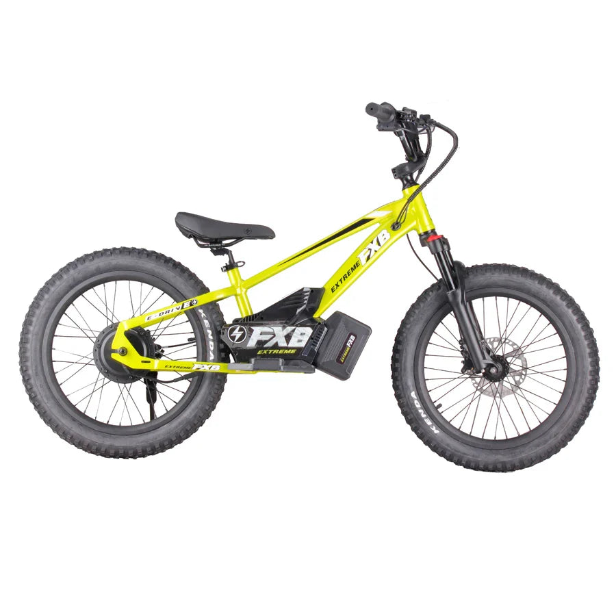 KTX-034131 20-Inch Electric Balance Bike with 10Ah Lithium Battery, 800W Motor, Hydraulic Disc Brakes, Adjustable Seat, Off-Road Capability