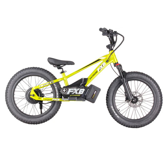 KTX-034131 20-Inch Electric Balance Bike with 10Ah Lithium Battery, 800W Motor, Hydraulic Disc Brakes, Adjustable Seat, Off-Road Capability