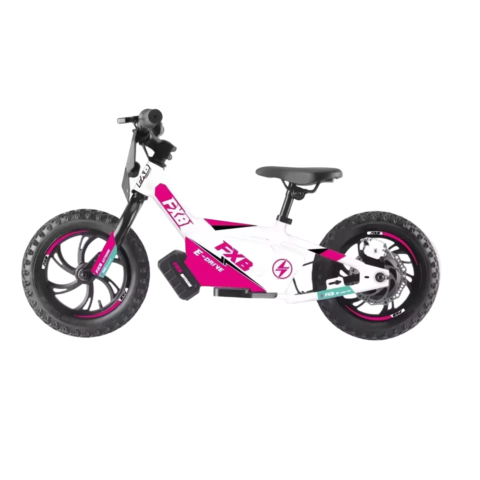 KTX-035283 Electric Balance Bike 12 Inch with 36V 250W Hub Motor and Quick-Disconnect Rechargeable Battery