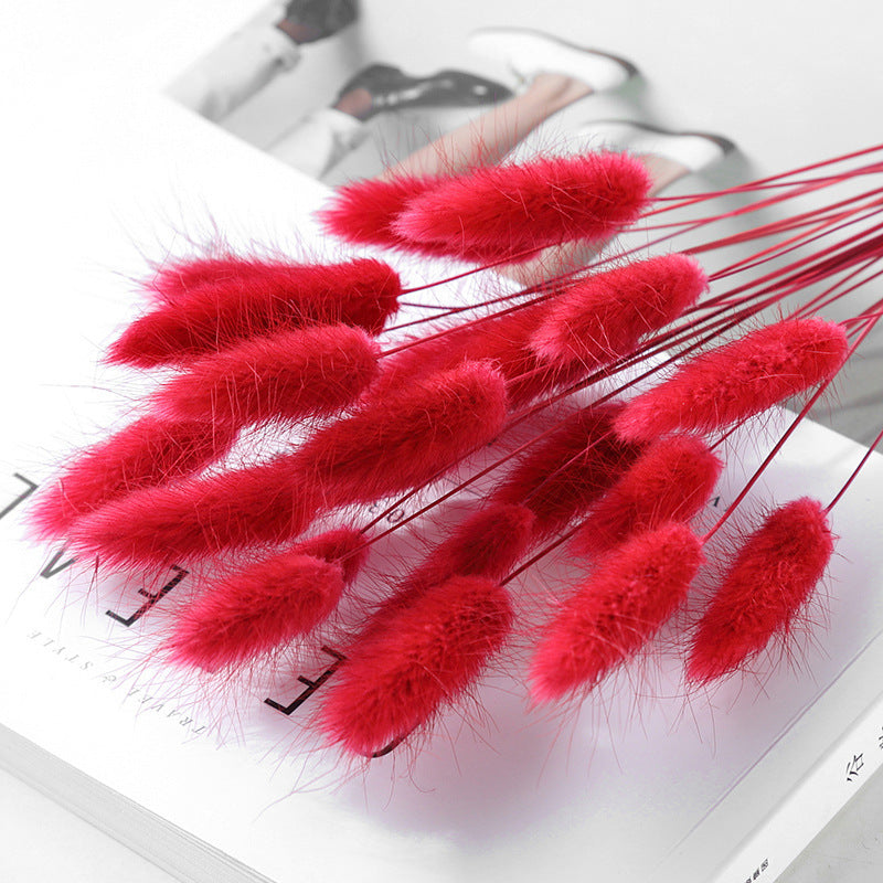 KTX-036947 Dried Flower Bouquet with Rabbit Tail Grass - Variety of Colors, 40-50CM Height, 20 Branches Each