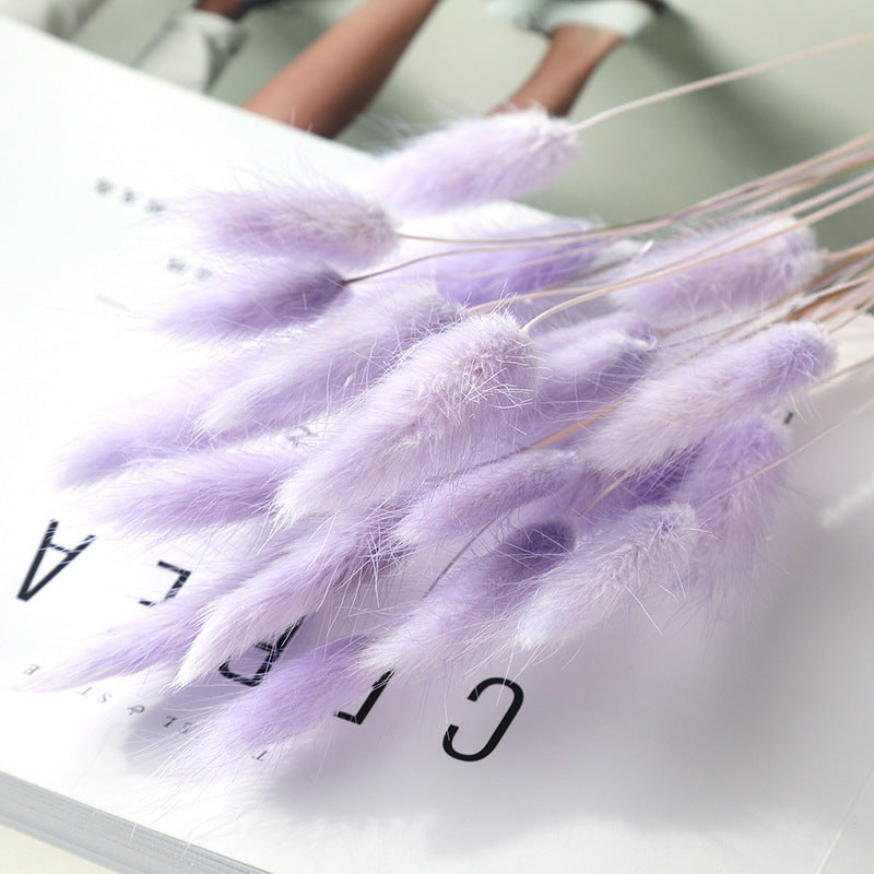 KTX-036947 Dried Flower Bouquet with Rabbit Tail Grass - Variety of Colors, 40-50CM Height, 20 Branches Each