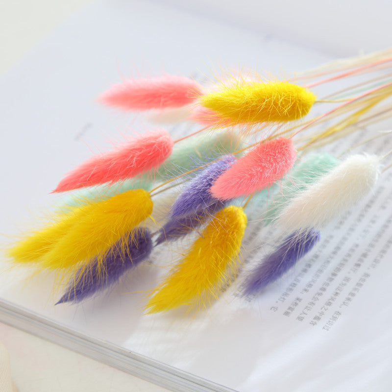 KTX-036947 Dried Flower Bouquet with Rabbit Tail Grass - Variety of Colors, 40-50CM Height, 20 Branches Each