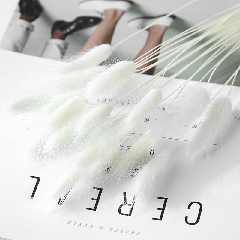 KTX-036947 Dried Flower Bouquet with Rabbit Tail Grass - Variety of Colors, 40-50CM Height, 20 Branches Each