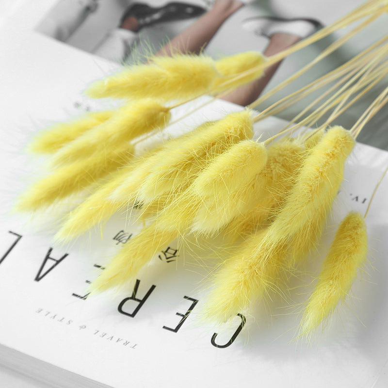 KTX-036947 Dried Flower Bouquet with Rabbit Tail Grass - Variety of Colors, 40-50CM Height, 20 Branches Each