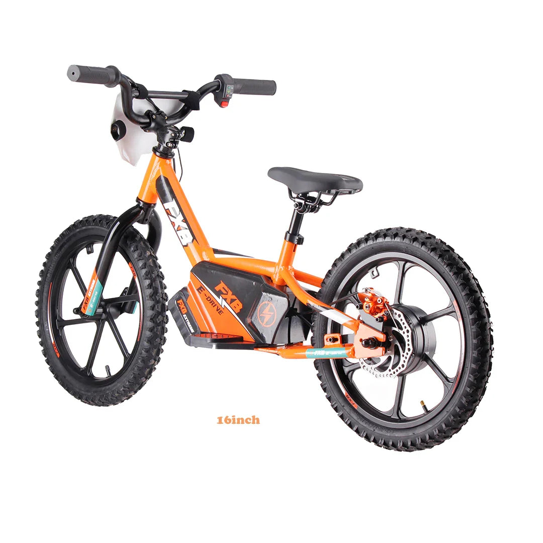 KTX-051091 16-Inch Electric Balance Bike for Kids with Steel Fork and 350W Motor