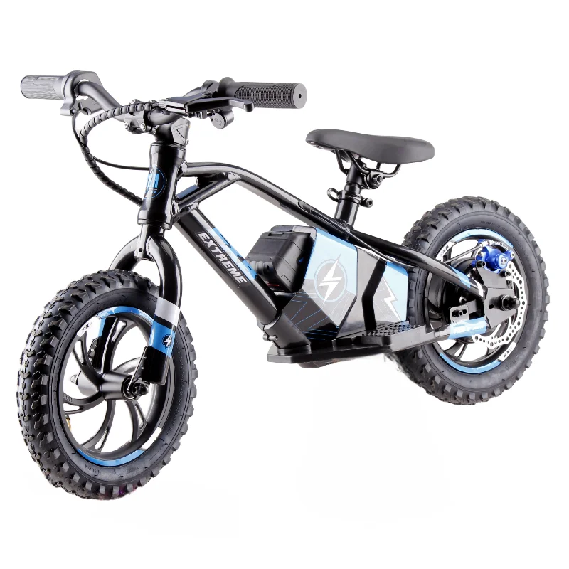 KTX-052243 Kids Electric Motorcycle with 12-Inch Fat Tires and 250W Brushless Motor, 2-Speed – Max Speed 50 km/h, Waterproof Lithium Battery