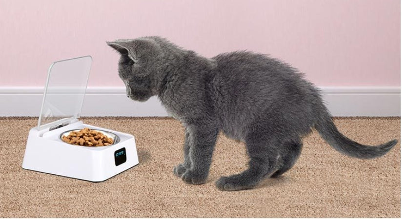 KTX-060243 Automatic Pet Feeder with 5G Connectivity and Integrated Bowl, Compact Design, DC3.7V Power