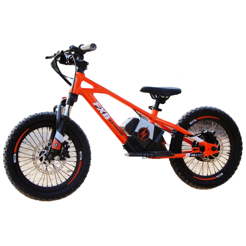 KTX-066899 Children's Electric Balance Bike 16" Aluminum Alloy Rim 36V 350W, Disc Brake, Central Lithium Battery, 2 Speed Options
