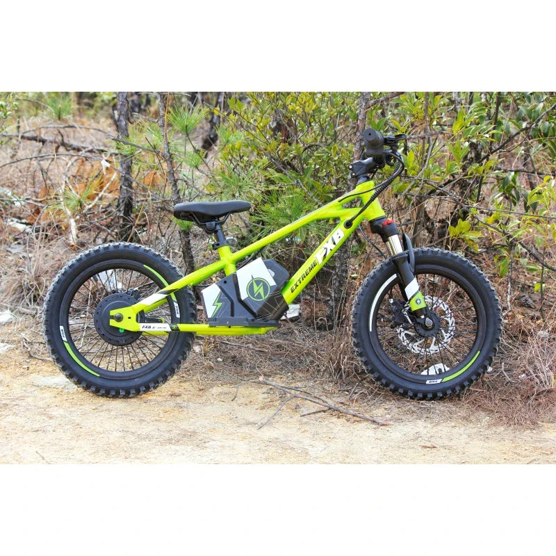 KTX-066899 Children's Electric Balance Bike 16" Aluminum Alloy Rim 36V 350W, Disc Brake, Central Lithium Battery, 2 Speed Options
