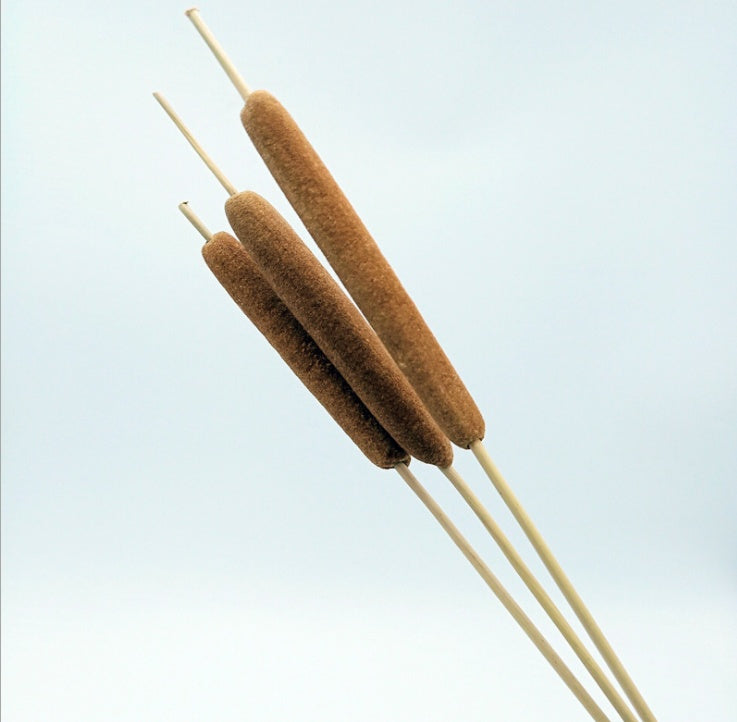KTX-070867 Natural Dried Pampas Reed Wedding Bouquet with Assorted Grasses and Lotus Decorations