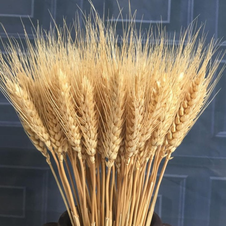 KTX-070867 Natural Dried Pampas Reed Wedding Bouquet with Assorted Grasses and Lotus Decorations