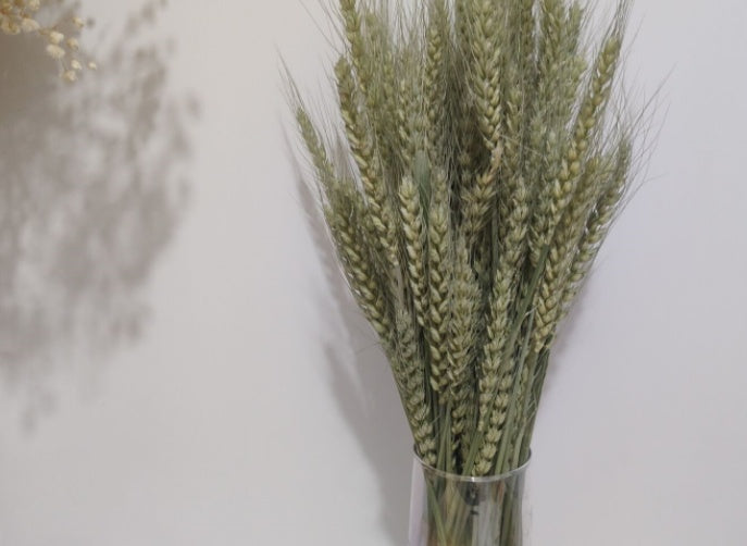 KTX-070867 Natural Dried Pampas Reed Wedding Bouquet with Assorted Grasses and Lotus Decorations