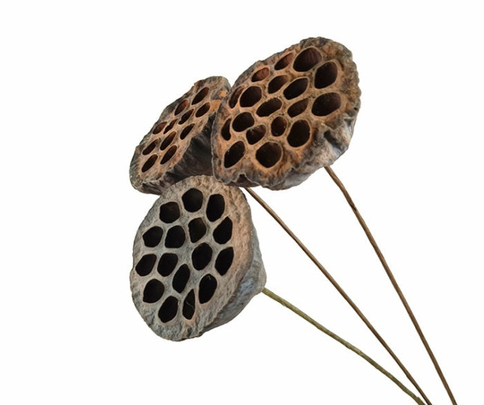 KTX-070867 Natural Dried Pampas Reed Wedding Bouquet with Assorted Grasses and Lotus Decorations