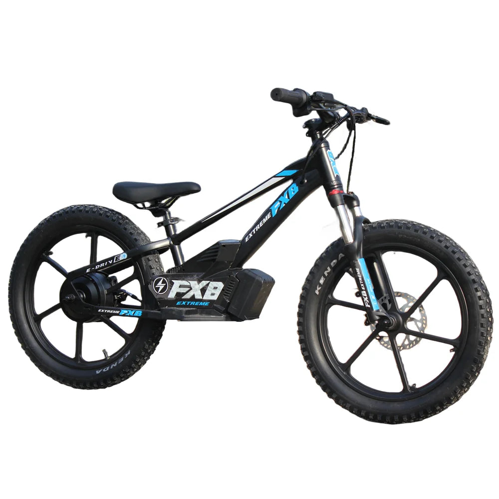 KTX-083859 600W Brushless 20" Electric Hybrid Bike with Hydraulic Suspension and 3-Speed Gears