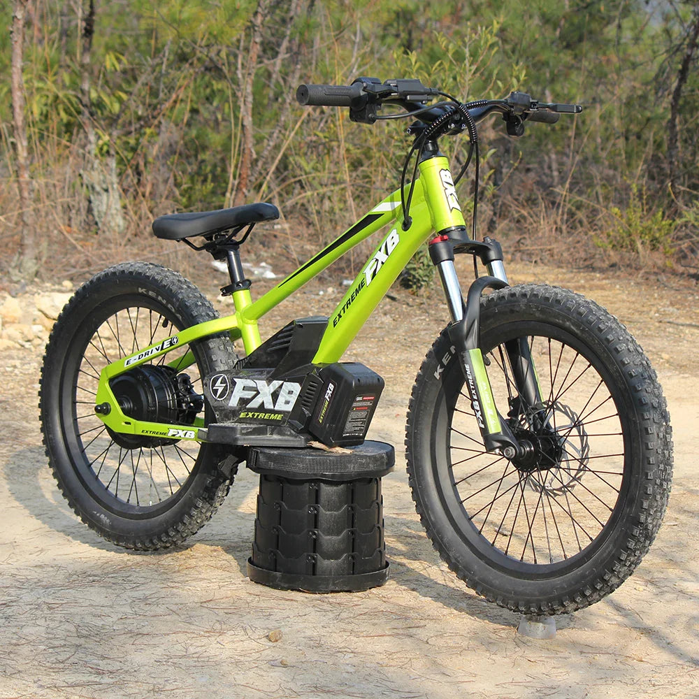 KTX-100819 Electric Balance Bike for Kids 20 Inch 36V 800W with Pedal, Aluminum Frame, Hydraulic Brake, 3 Speeds, Range 12-17km