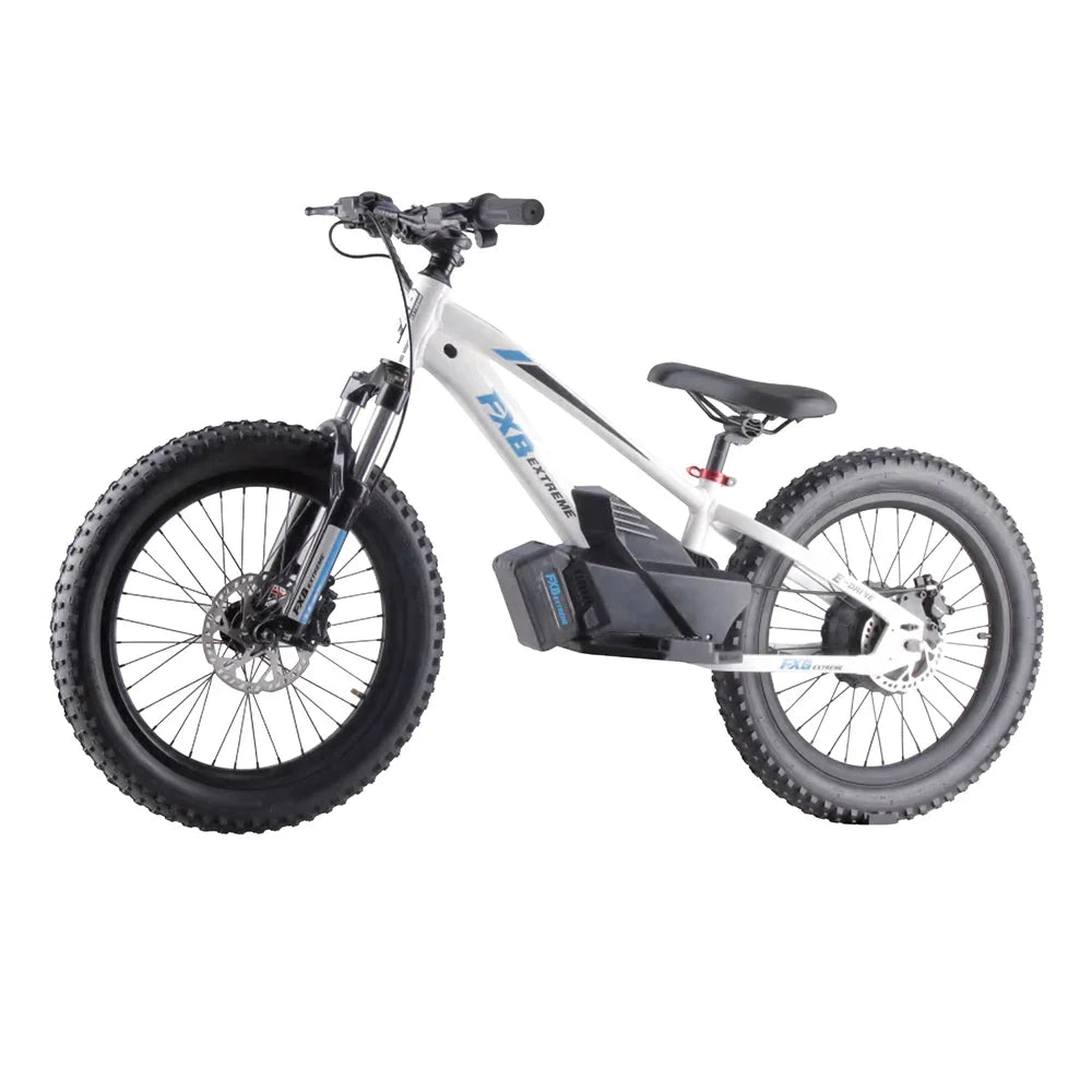 KTX-100819 Electric Balance Bike for Kids 20 Inch 36V 800W with Pedal, Aluminum Frame, Hydraulic Brake, 3 Speeds, Range 12-17km