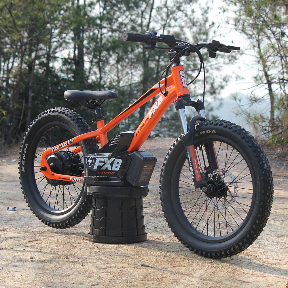 KTX-100819 Electric Balance Bike for Kids 20 Inch 36V 800W with Pedal, Aluminum Frame, Hydraulic Brake, 3 Speeds, Range 12-17km