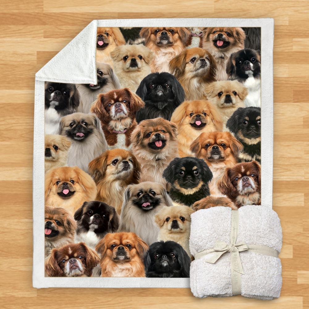 KTX-114067 Modern Printed Flannel Blanket for Pets - Multiple Sizes Available (120x150CM, 150x200CM)