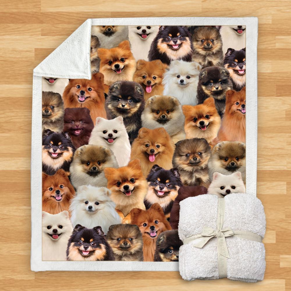 KTX-114067 Modern Printed Flannel Blanket for Pets - Multiple Sizes Available (120x150CM, 150x200CM)