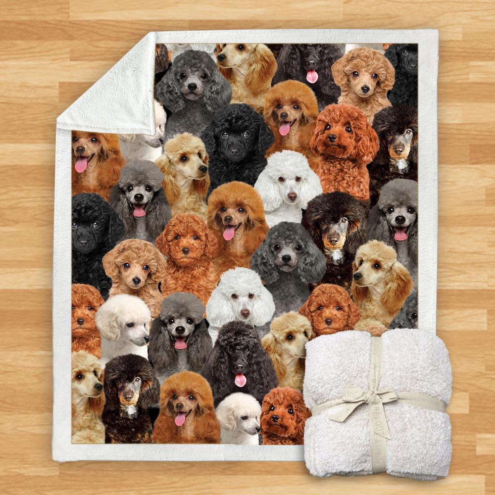 KTX-114067 Modern Printed Flannel Blanket for Pets - Multiple Sizes Available (120x150CM, 150x200CM)
