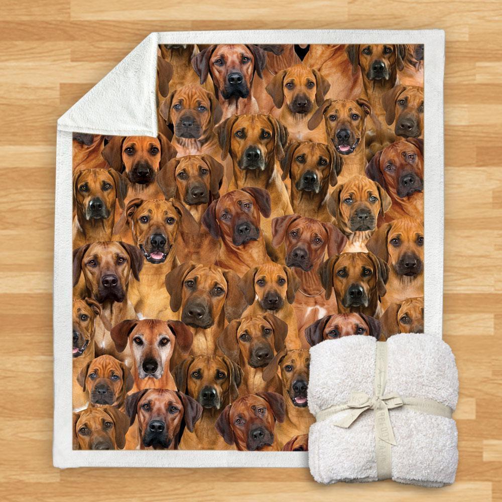 KTX-114067 Modern Printed Flannel Blanket for Pets - Multiple Sizes Available (120x150CM, 150x200CM)