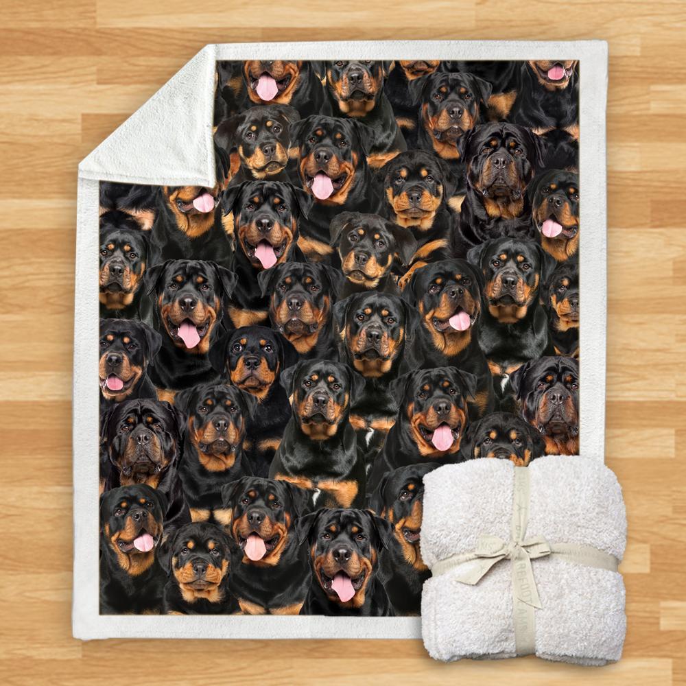 KTX-114067 Modern Printed Flannel Blanket for Pets - Multiple Sizes Available (120x150CM, 150x200CM)