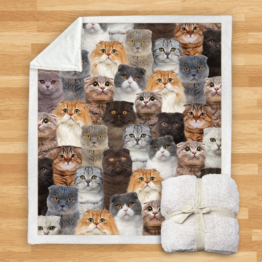 KTX-114067 Modern Printed Flannel Blanket for Pets - Multiple Sizes Available (120x150CM, 150x200CM)