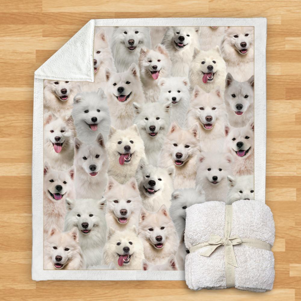 KTX-114067 Modern Printed Flannel Blanket for Pets - Multiple Sizes Available (120x150CM, 150x200CM)