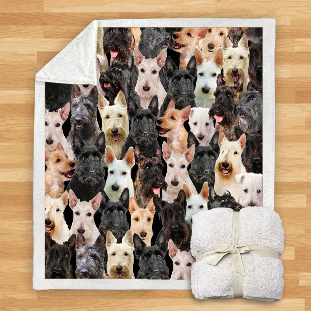 KTX-114067 Modern Printed Flannel Blanket for Pets - Multiple Sizes Available (120x150CM, 150x200CM)