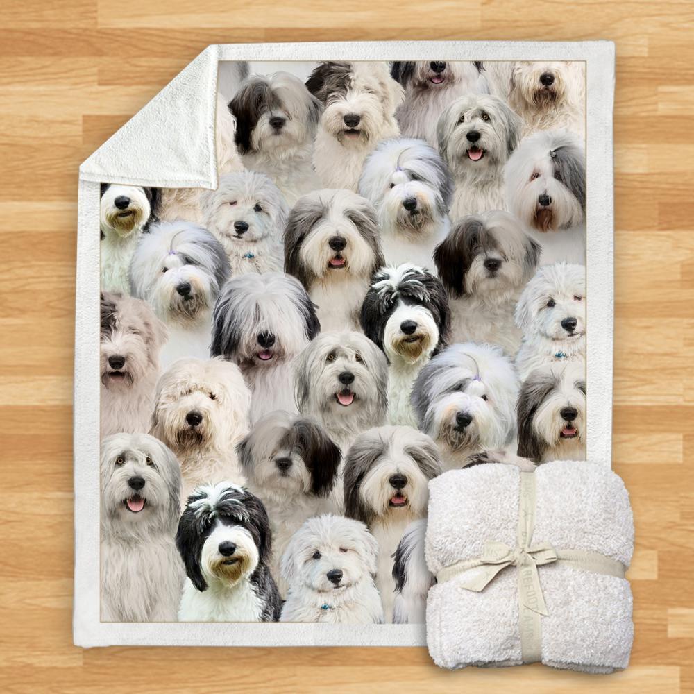 KTX-114067 Modern Printed Flannel Blanket for Pets - Multiple Sizes Available (120x150CM, 150x200CM)