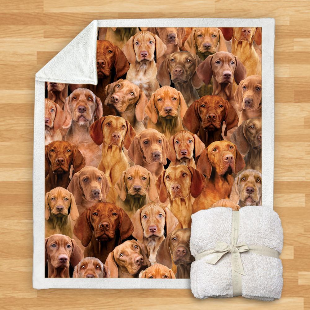 KTX-114067 Modern Printed Flannel Blanket for Pets - Multiple Sizes Available (120x150CM, 150x200CM)