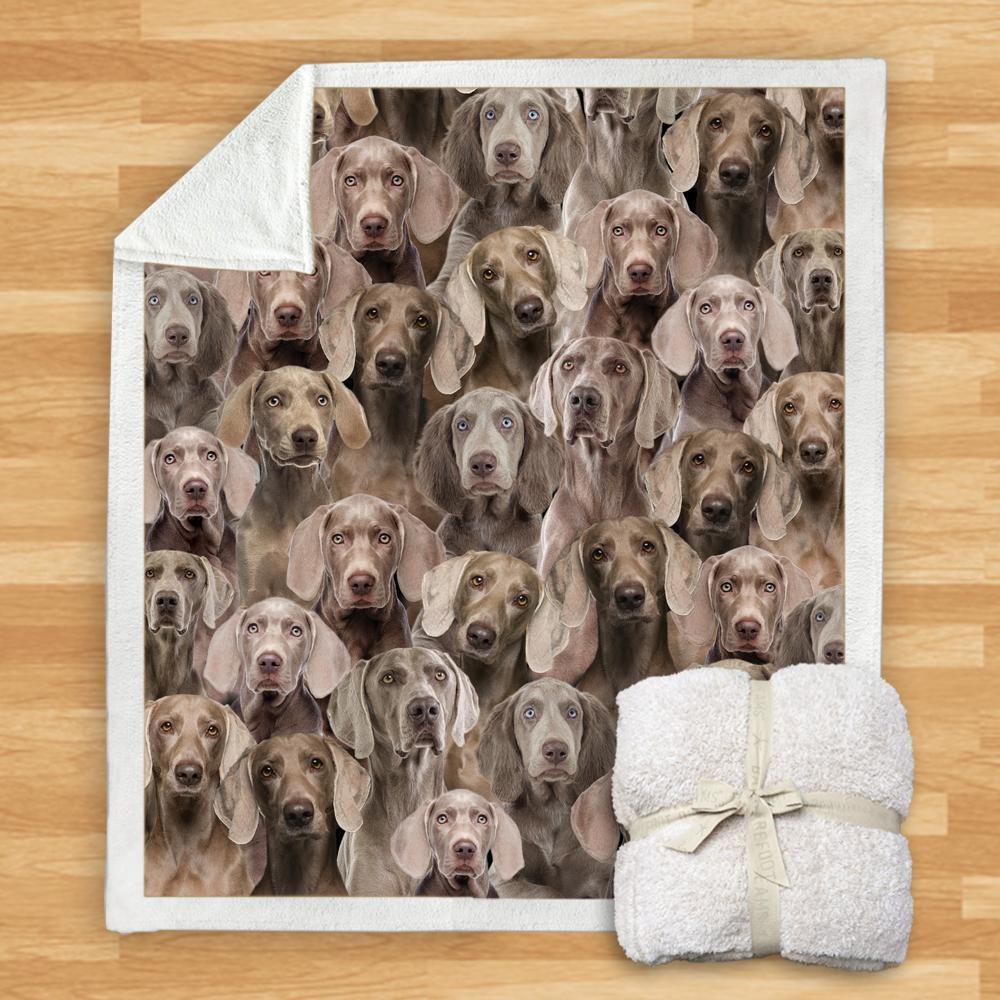 KTX-114067 Modern Printed Flannel Blanket for Pets - Multiple Sizes Available (120x150CM, 150x200CM)