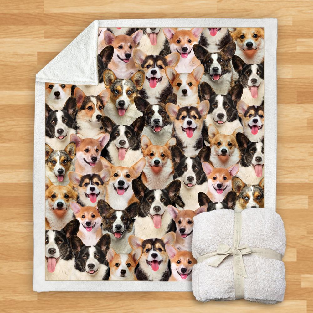 KTX-114067 Modern Printed Flannel Blanket for Pets - Multiple Sizes Available (120x150CM, 150x200CM)