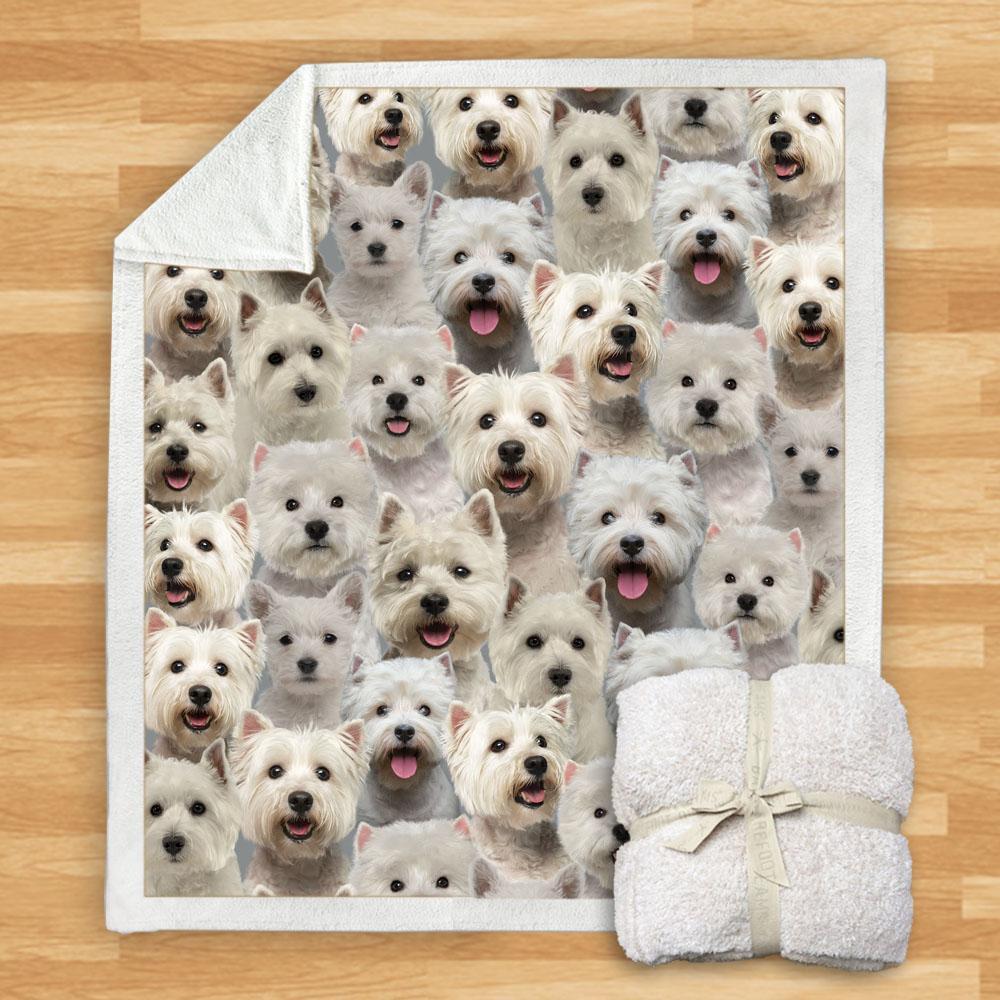 KTX-114067 Modern Printed Flannel Blanket for Pets - Multiple Sizes Available (120x150CM, 150x200CM)