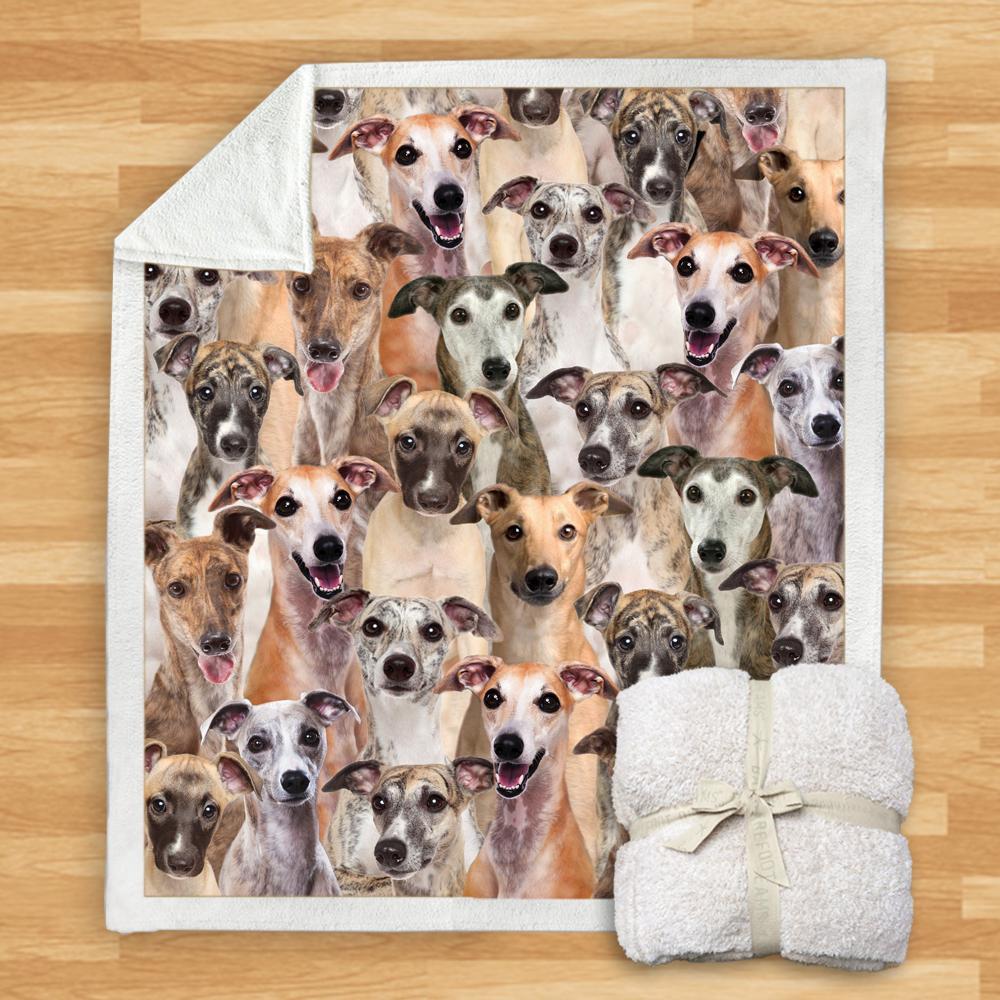 KTX-114067 Modern Printed Flannel Blanket for Pets - Multiple Sizes Available (120x150CM, 150x200CM)