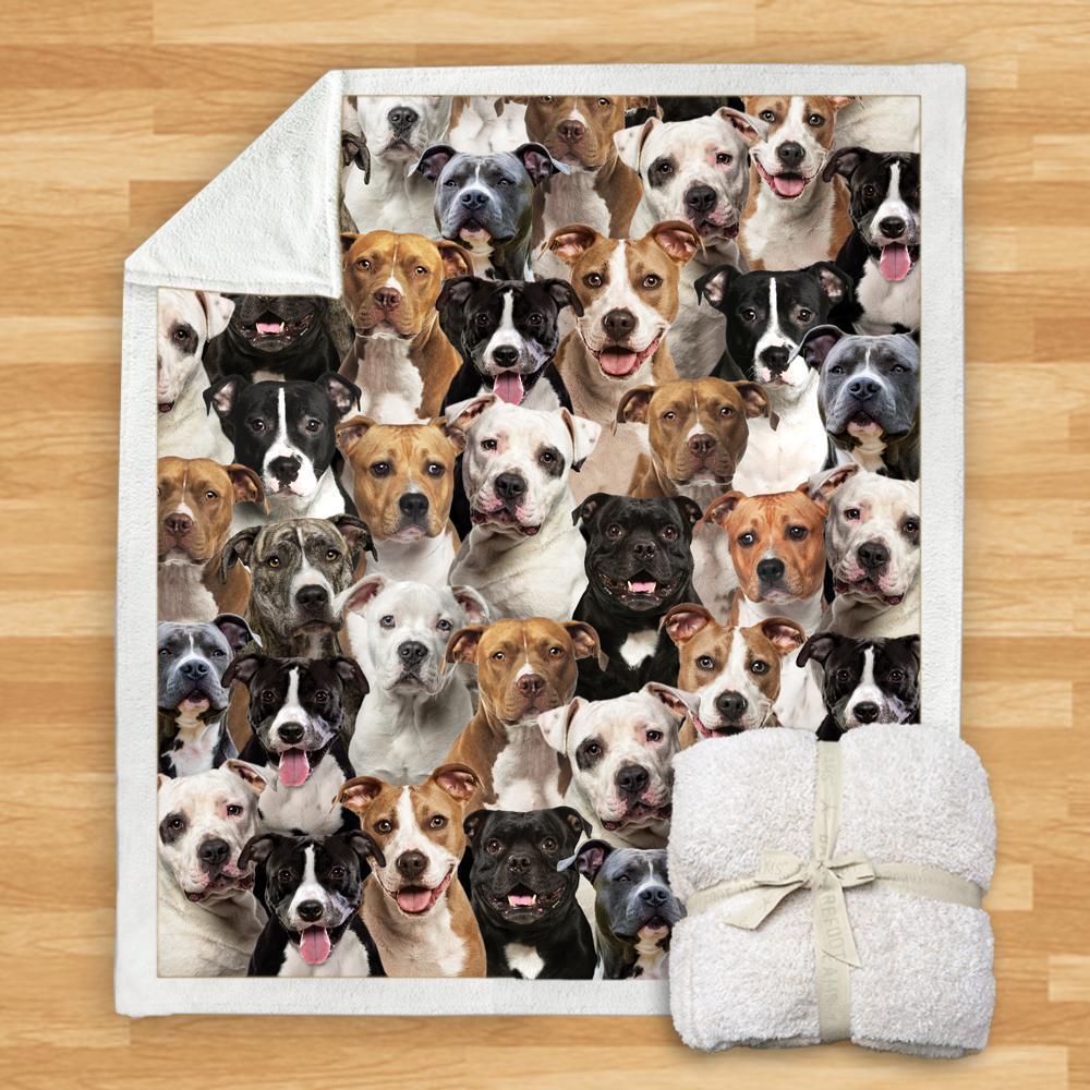 KTX-114067 Modern Printed Flannel Blanket for Pets - Multiple Sizes Available (120x150CM, 150x200CM)