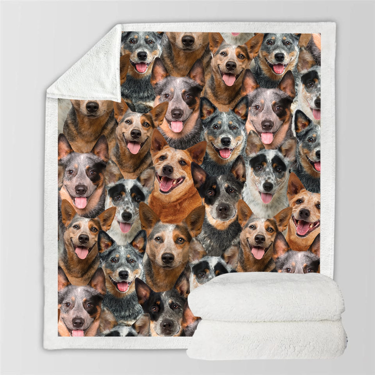 KTX-114067 Modern Printed Flannel Blanket for Pets - Multiple Sizes Available (120x150CM, 150x200CM)