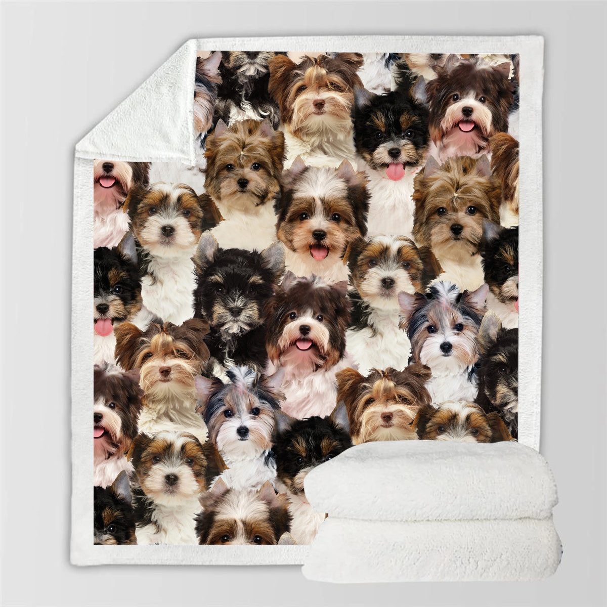KTX-114067 Modern Printed Flannel Blanket for Pets - Multiple Sizes Available (120x150CM, 150x200CM)