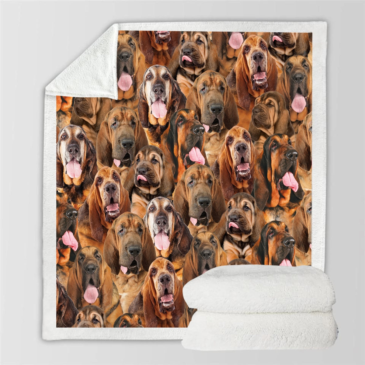 KTX-114067 Modern Printed Flannel Blanket for Pets - Multiple Sizes Available (120x150CM, 150x200CM)