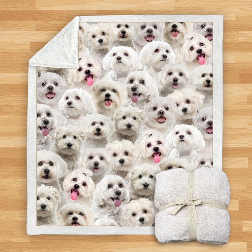 KTX-114067 Modern Printed Flannel Blanket for Pets - Multiple Sizes Available (120x150CM, 150x200CM)